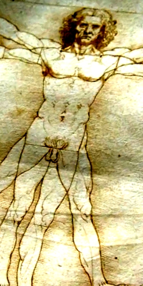 Vitruvian Man.